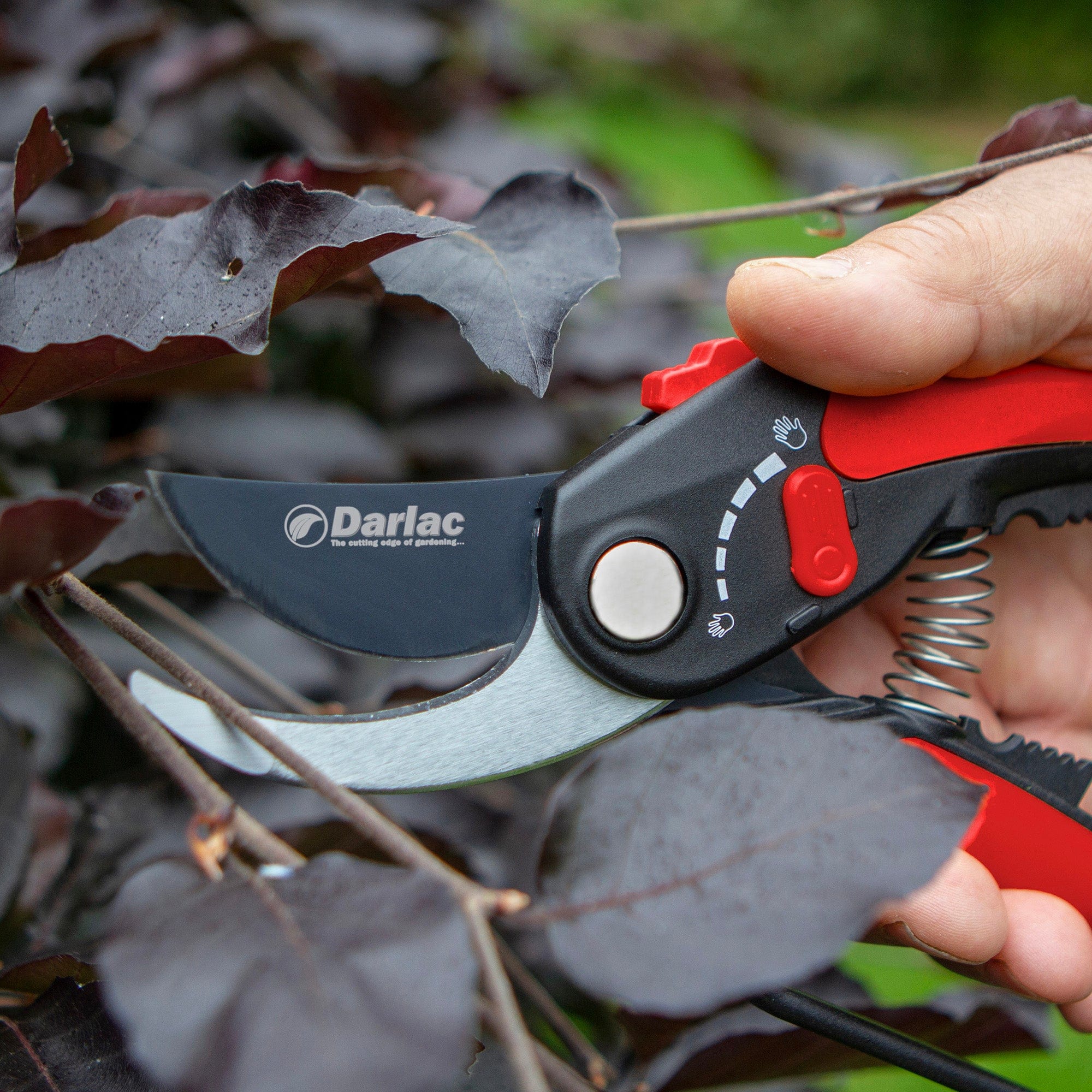 dt-brown HARDWARE Darlac Adjustable Bypass Secateurs