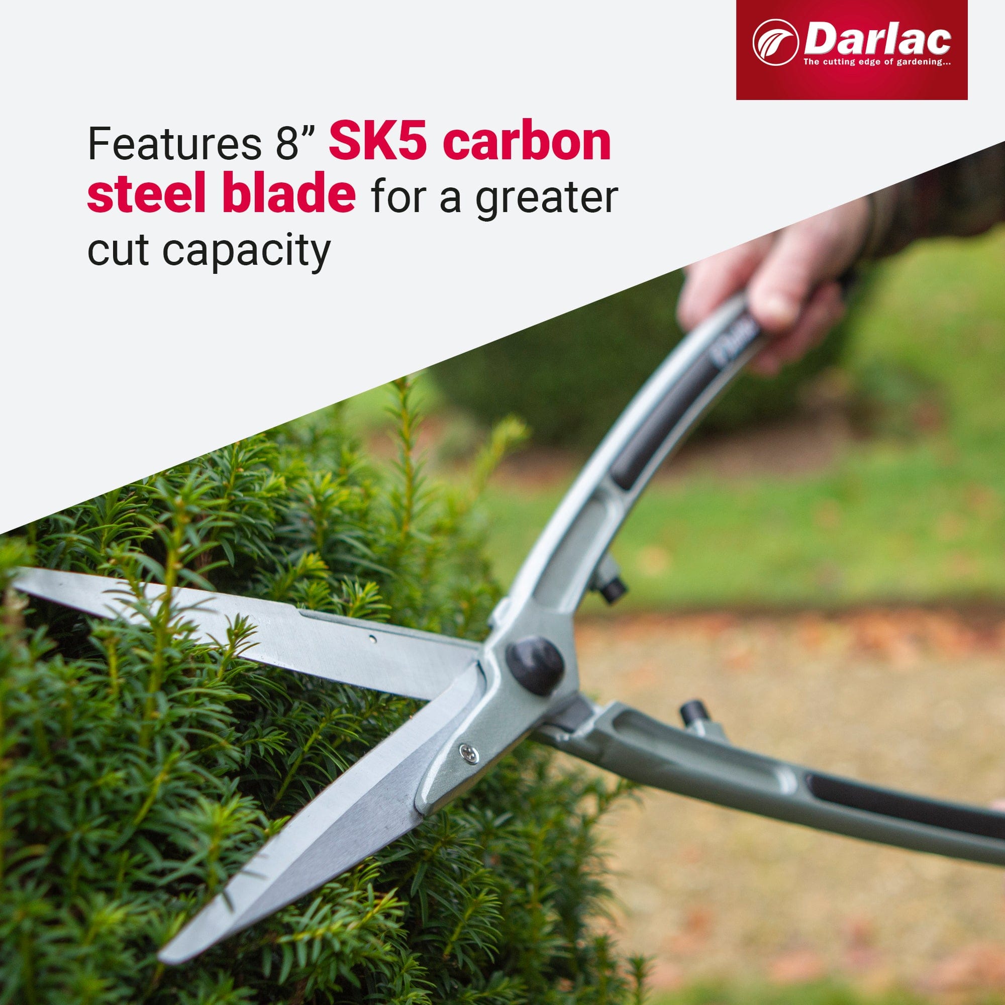 dt-brown HARDWARE Darlac Lightweight Shear 8in