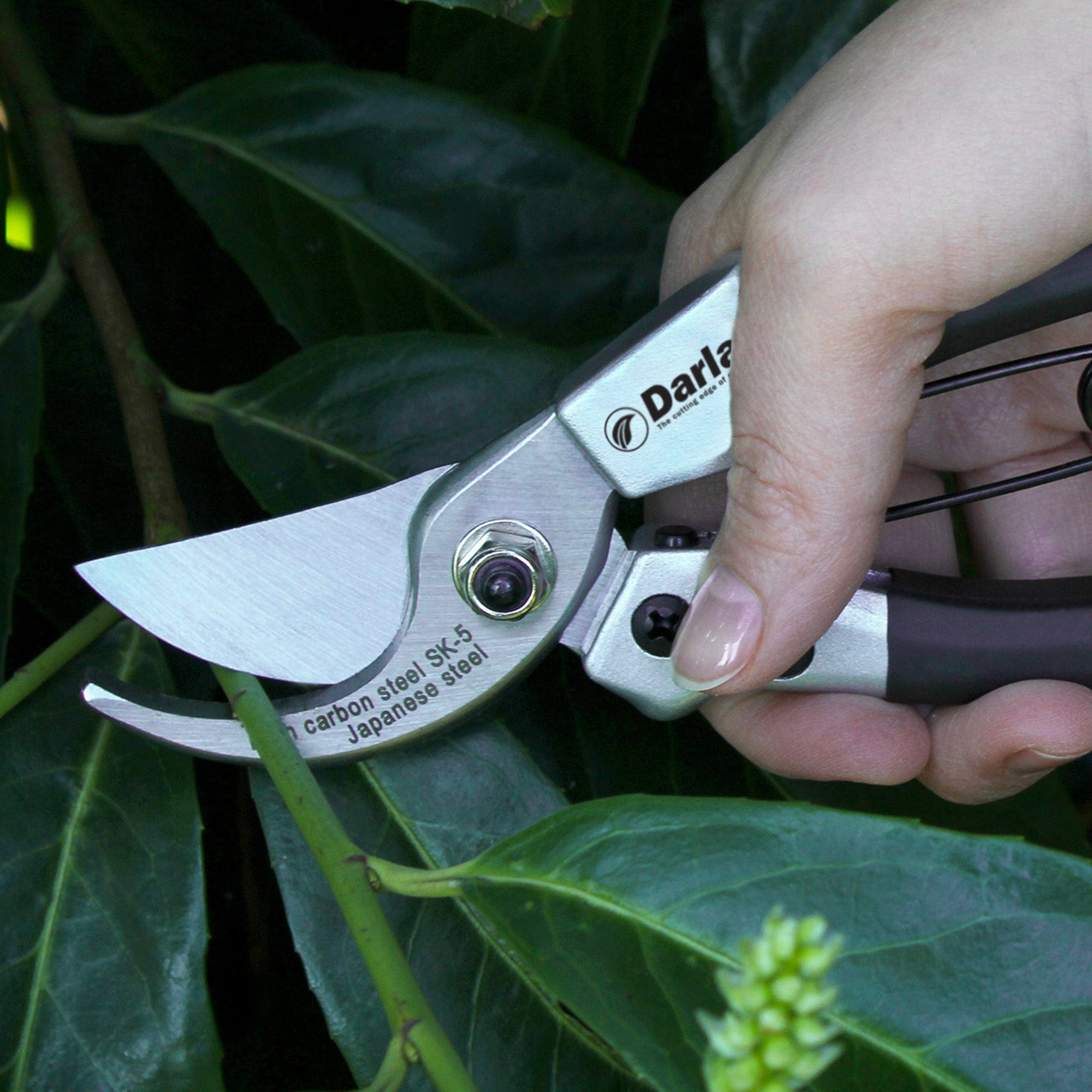 dt-brown HARDWARE Darlac Compact Secateurs