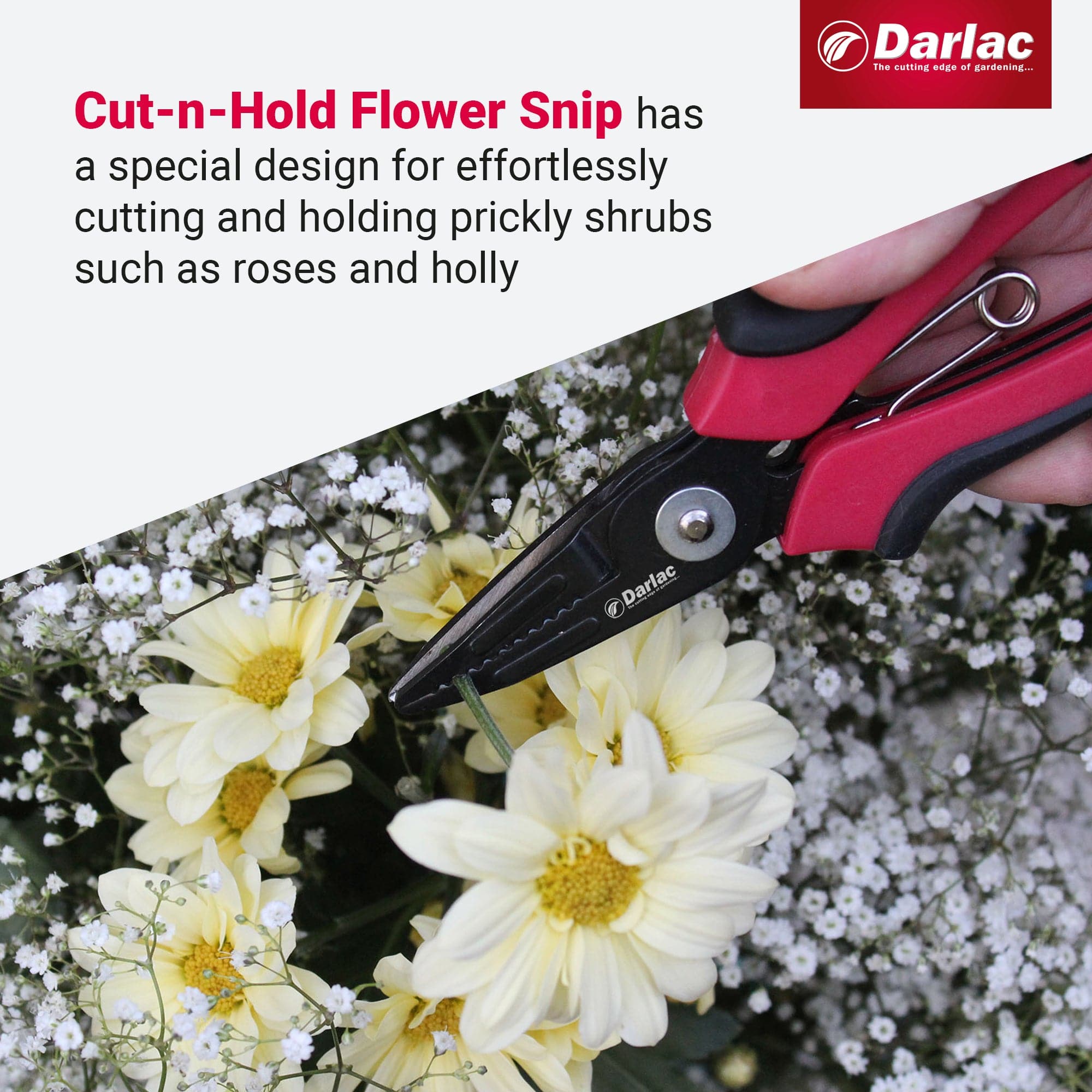 dt-brown HARDWARE Darlac Cut-n-Hold Flower Snips