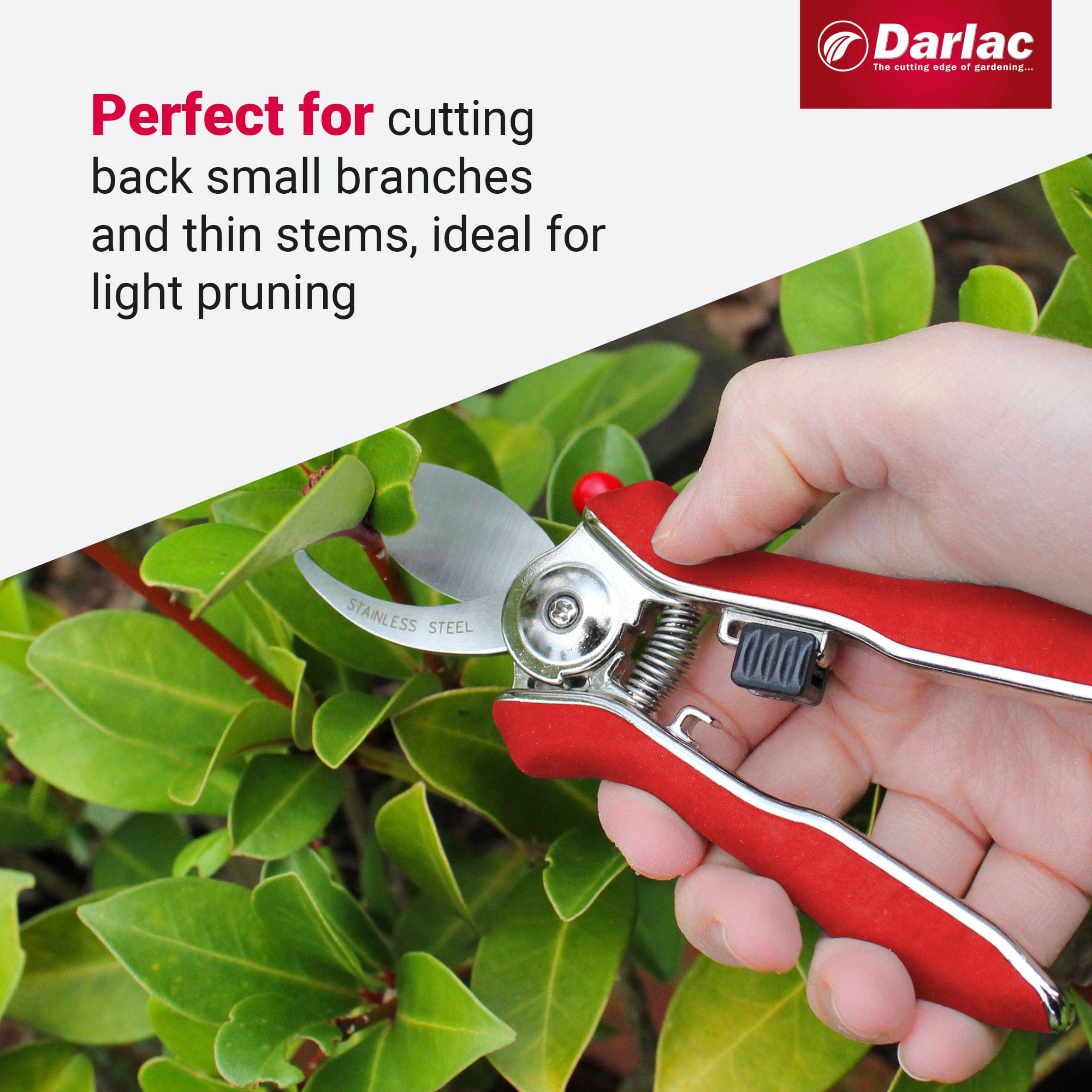 dt-brown HARDWARE Darlac Mini Bypass Secateurs