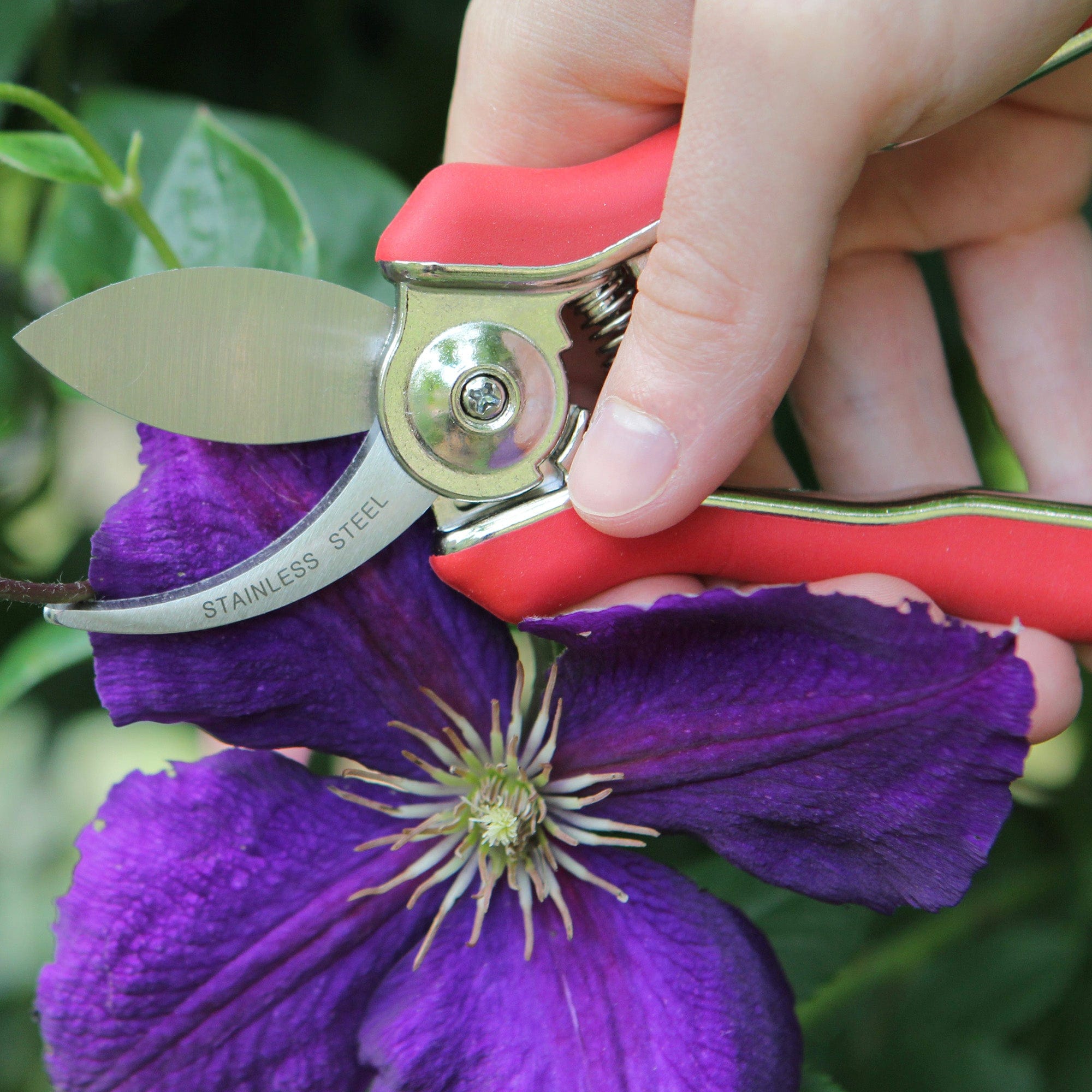 dt-brown HARDWARE Darlac Mini Bypass Secateurs