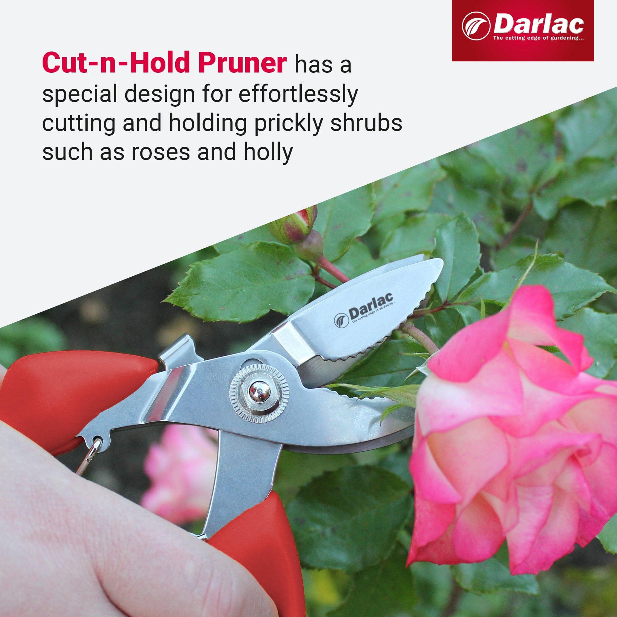 dt-brown HARDWARE Darlac Cut-n-Hold Bypass Secateurs