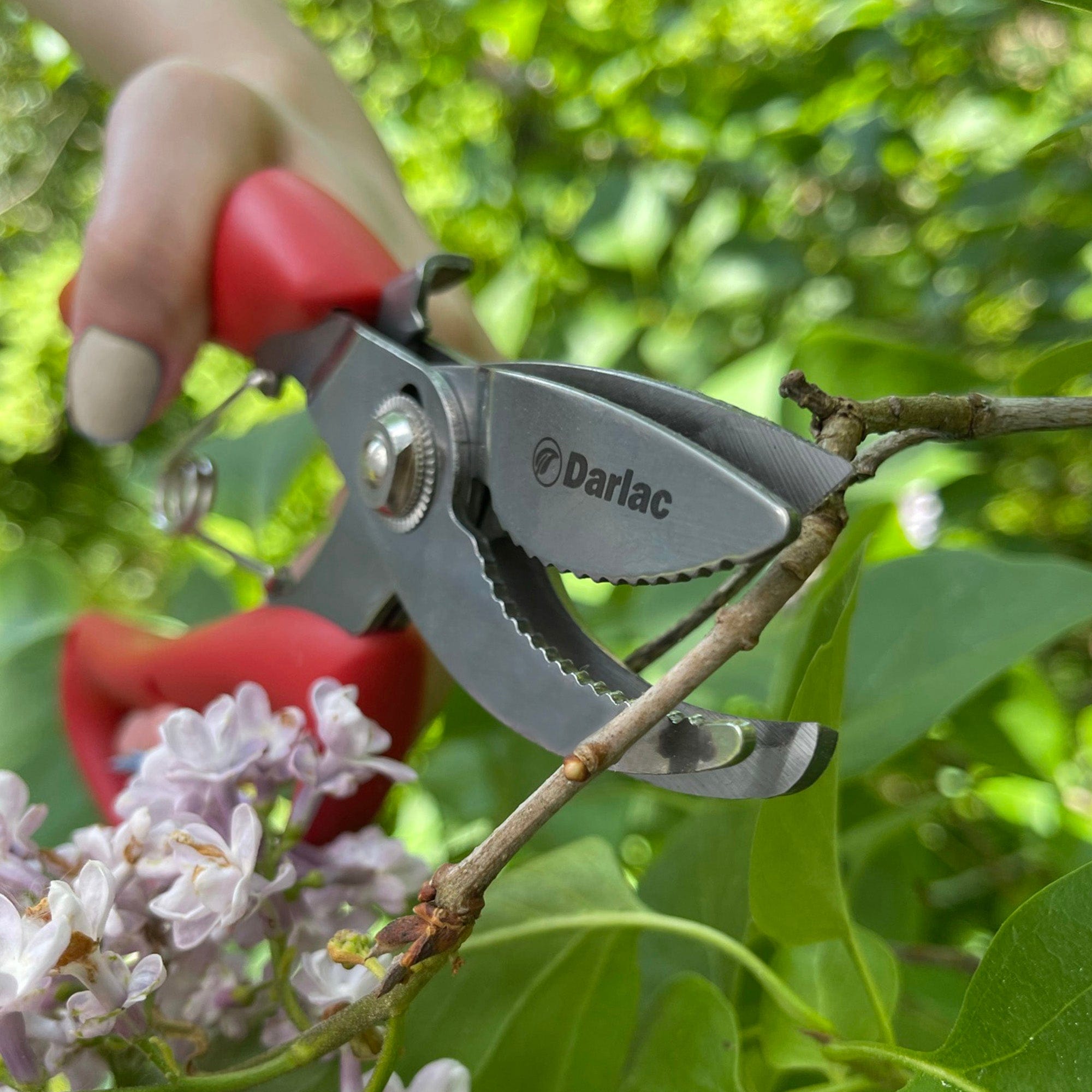 dt-brown HARDWARE Darlac Cut-n-Hold Bypass Secateurs