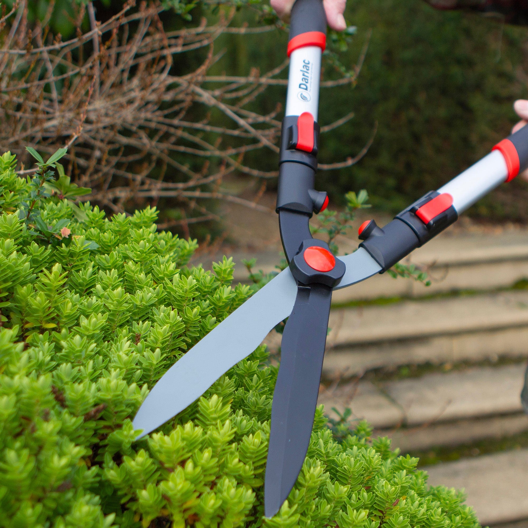 dt-brown HARDWARE Darlac Telescopic Hedge Shear