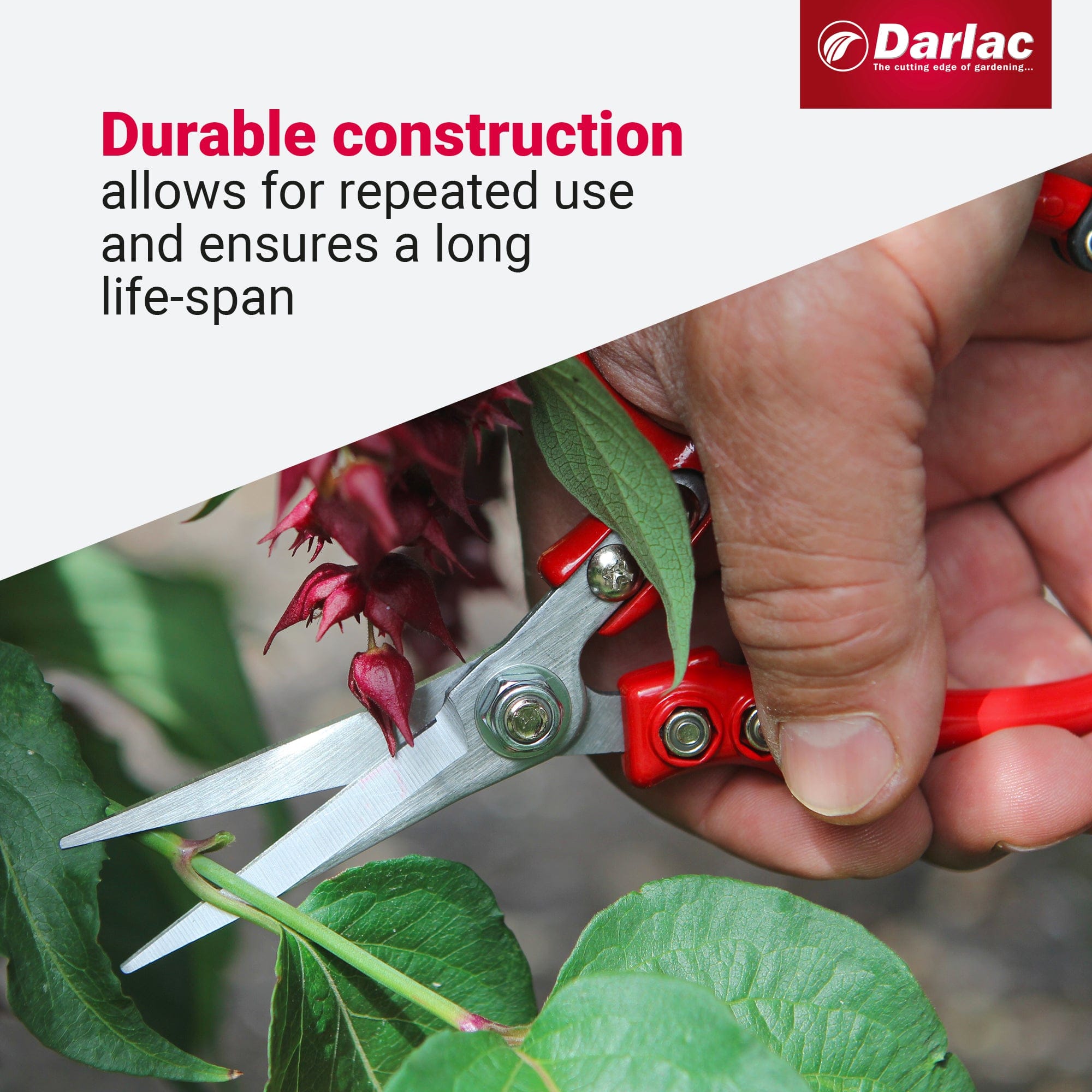 dt-brown HARDWARE Darlac Ergo Snips