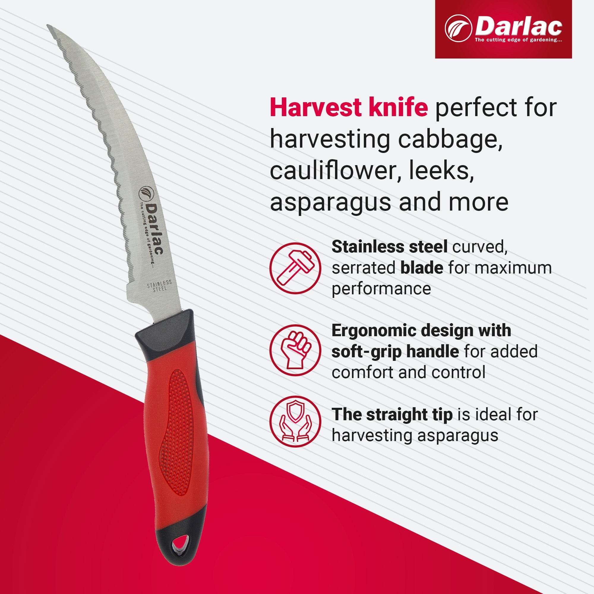 Darlac Asparagus and Harvesting Knife
