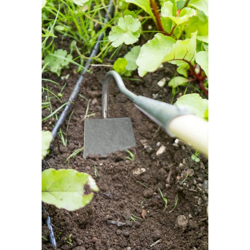 dt-brown HARDWARE Darlac Bamboo Narrow Draw Hoe Long Handle