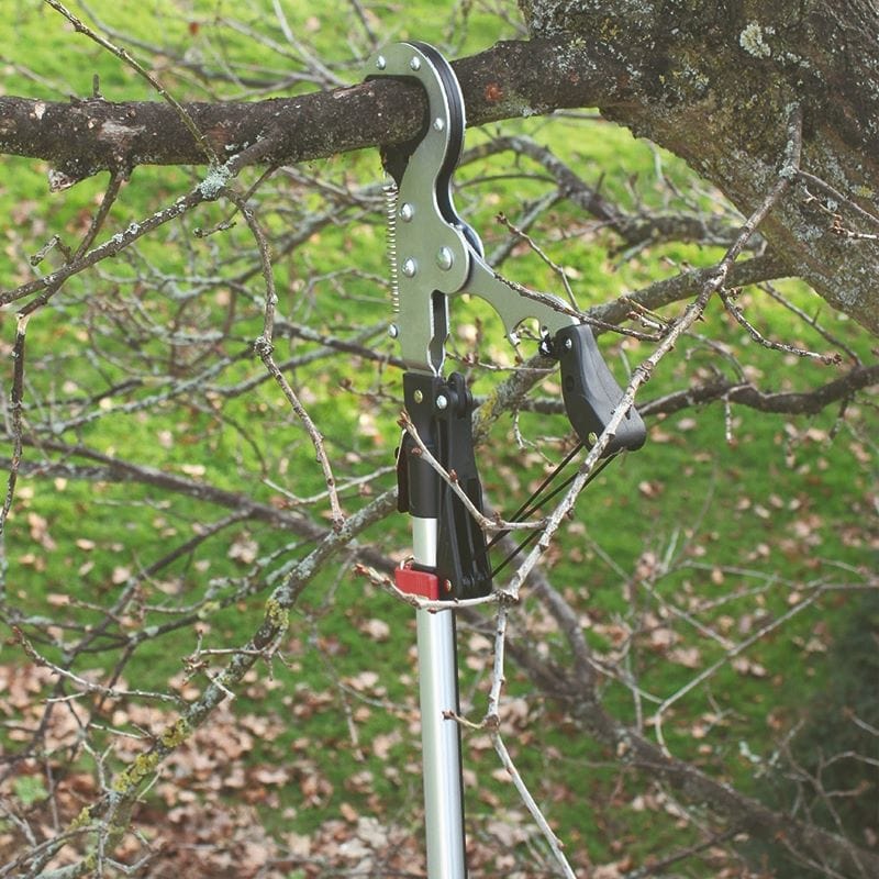 dt-brown HARDWARE Darlac Expert Geared Anvil Tree Pruner