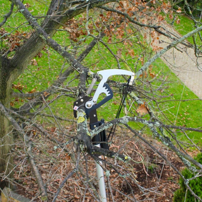 dt-brown HARDWARE Darlac Expert Geared Bypass Tree Pruner