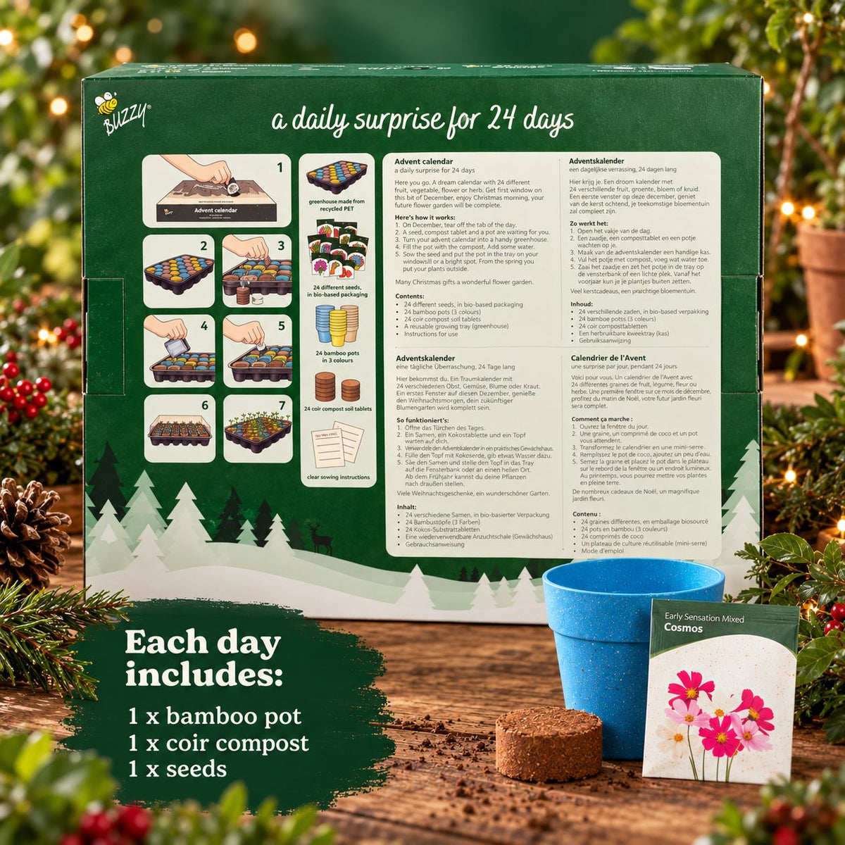Grow Your Own - Flower Seed Christmas Advent Calendar