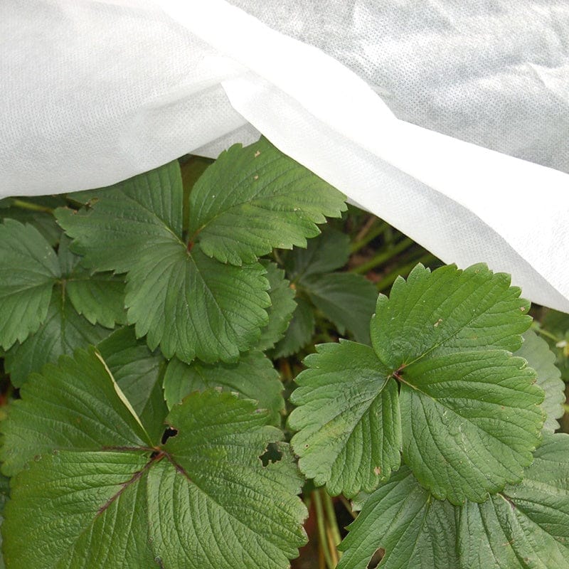 DT Brown HARDWARE Envirofleece 30g Frost Protection (2.4 x 5m)