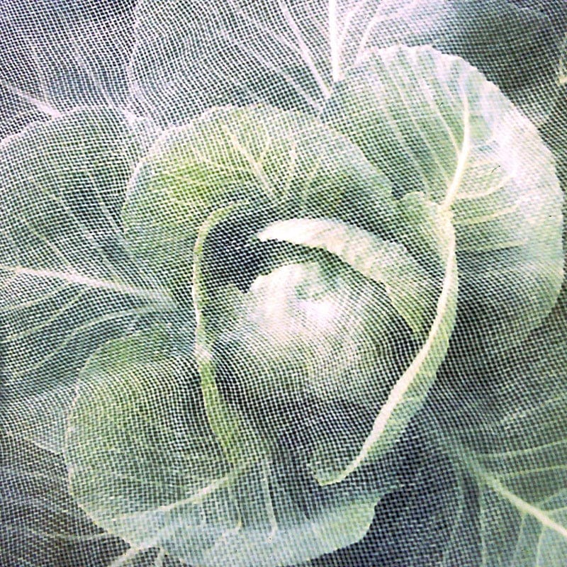 dt-brown HARDWARE Enviromesh Giant Plant Protection Netting (6x3.6m)