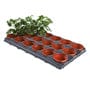 dt-brown HARDWARE Potting On Tray with 18 x 9cm Pots