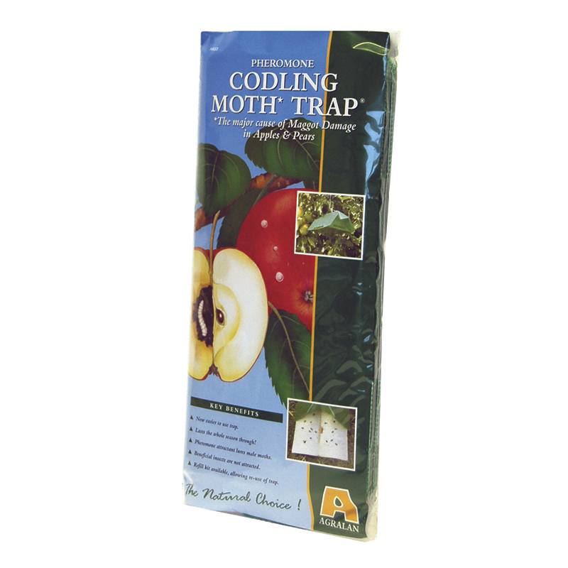 dt-brown HARDWARE Codling Moth Trap