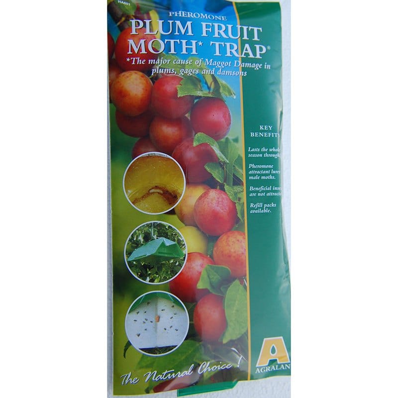 dt-brown HARDWARE Plum Fruit Moth Trap & Refill Pack