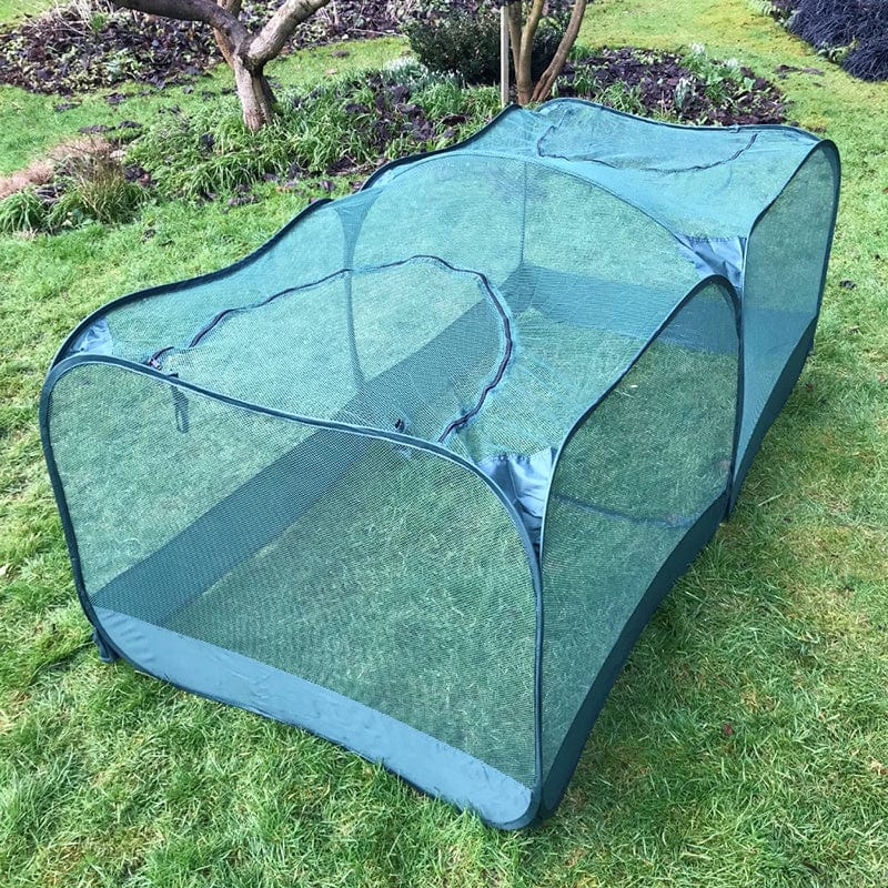 Low Giant Pop-Up Net Fruit Cage
