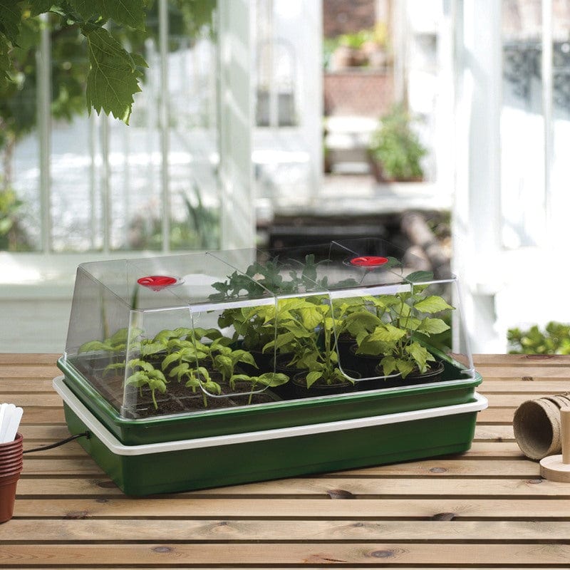 dt-brown HARDWARE Extra Large High Dome Electric Propagator 24W