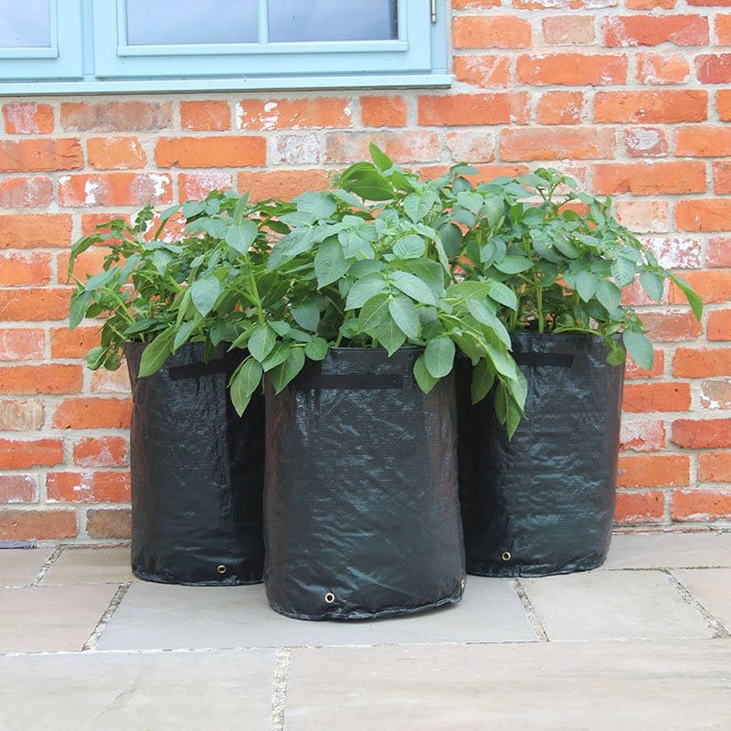 dt-brown HARDWARE Potato Patio Planters