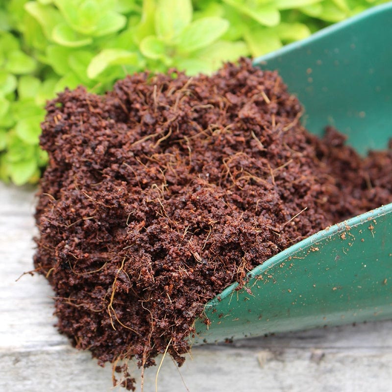 dt-brown HARDWARE Coco Grow Pure Coir Compost