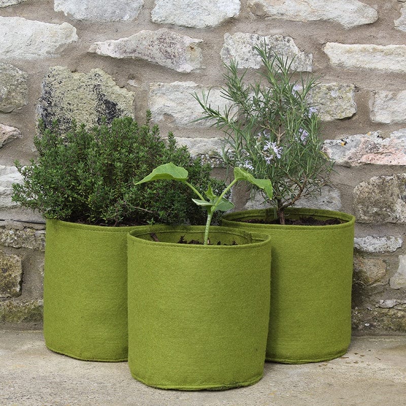 dt-brown HARDWARE Vigoroot™ Pots 5ltr
