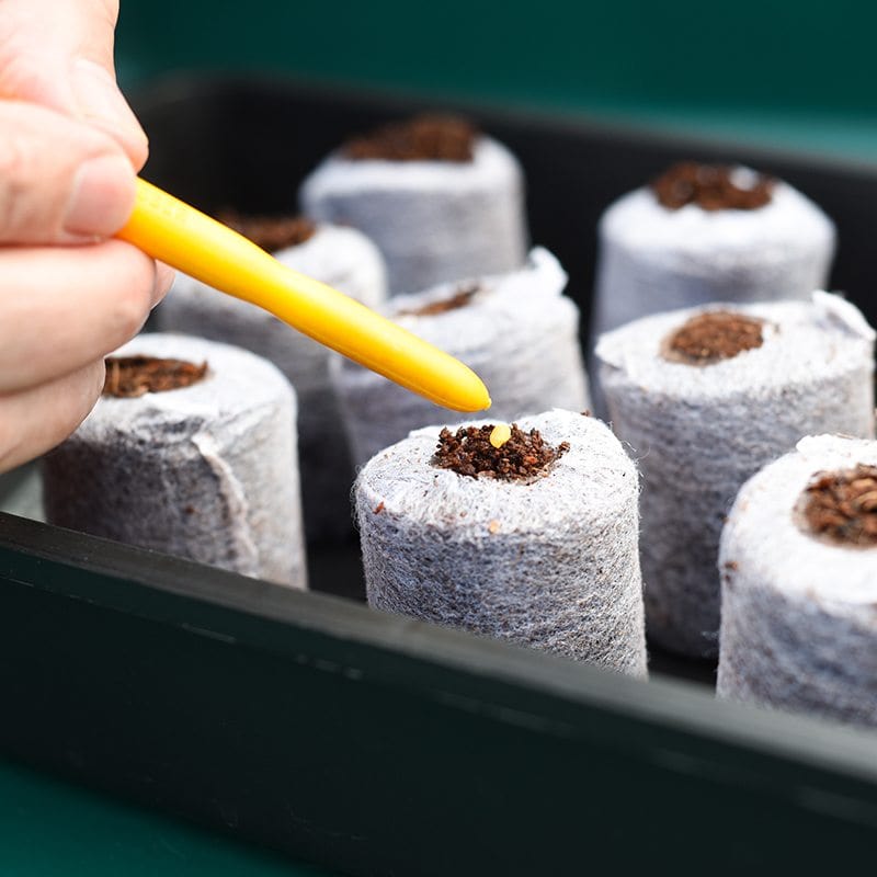 Coco Grow Pure Coir Seed Germination Dots