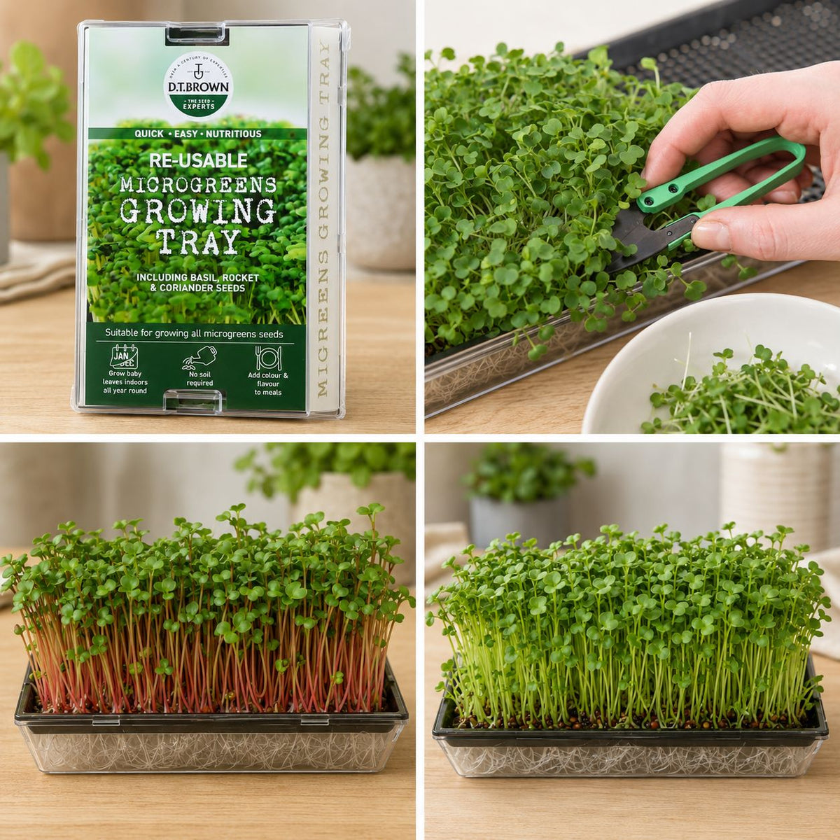 Microgreen Growing Kit