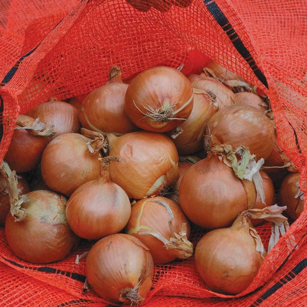 dt-brown HARDWARE Onion Storage Nets