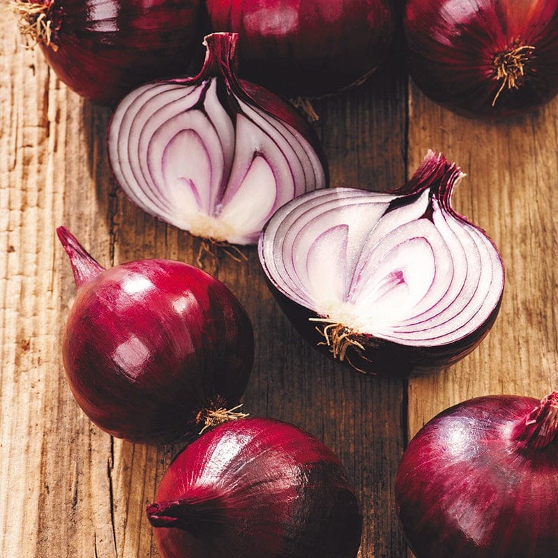 dt-brown ONIONS/GARLIC/SHALLOTS Onion Karmen sets