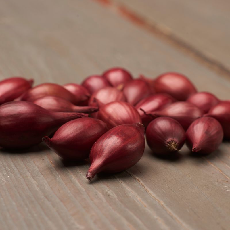 Akado Onion Sets