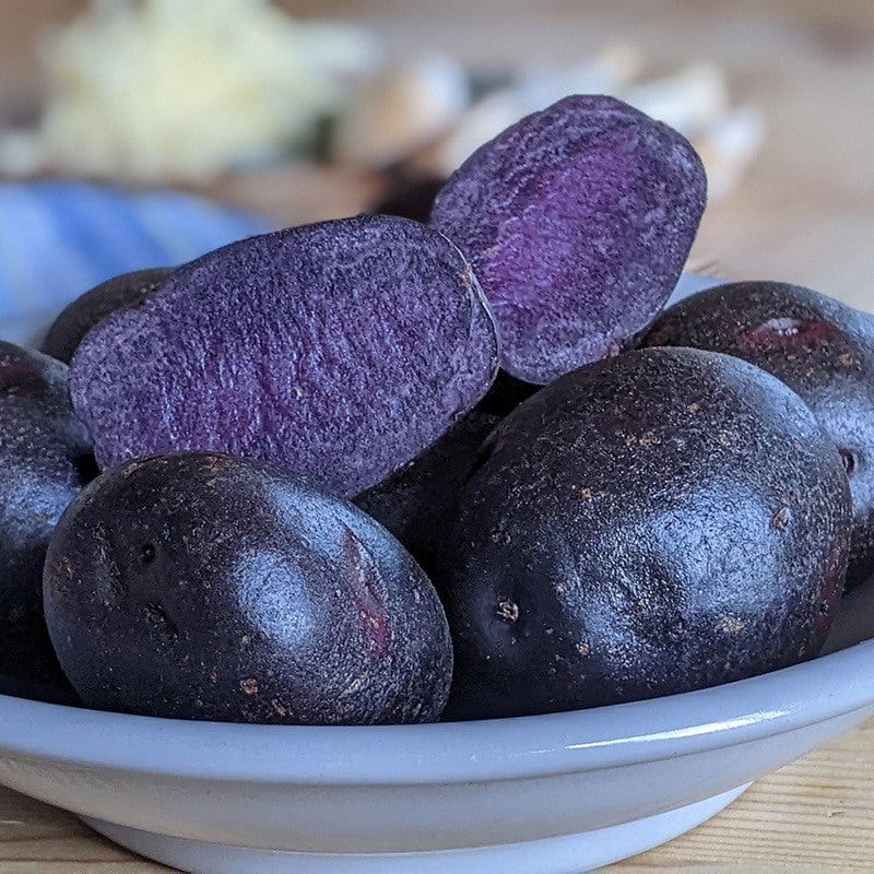 dt-brown SEED POTATOES Potato Annelise Blue (Maincrop Seed Potato)