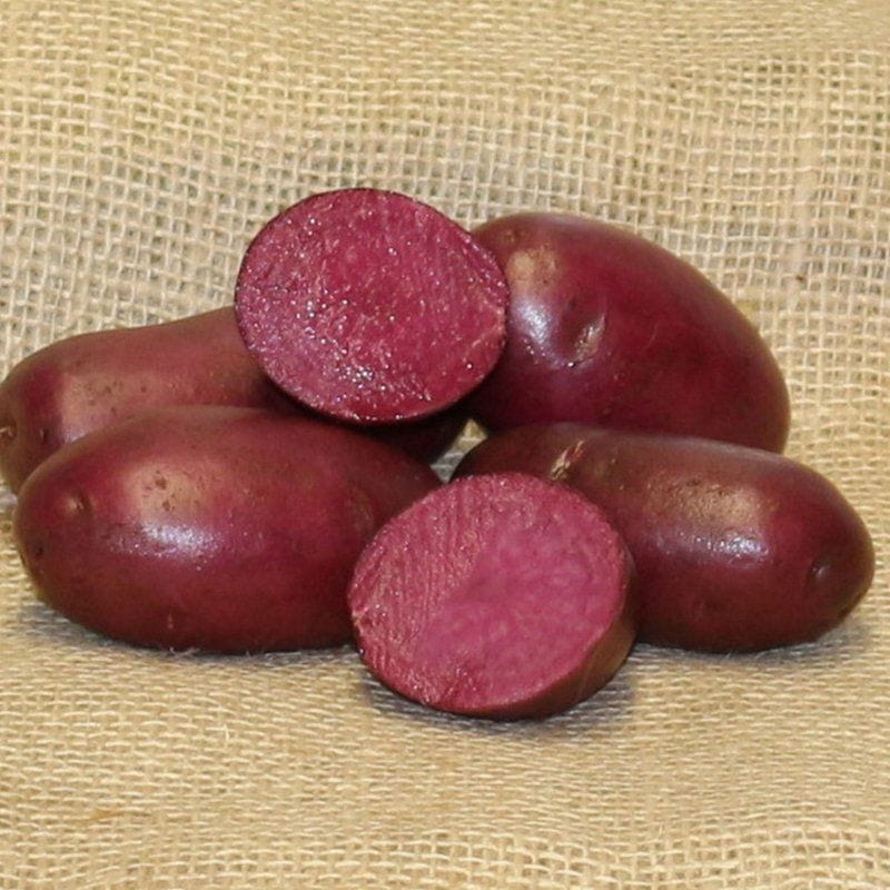 Potato Heidi Red (Maincrop Seed Potato)