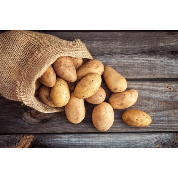 DT Brown SEED POTATOES Potato Francis 1kg
