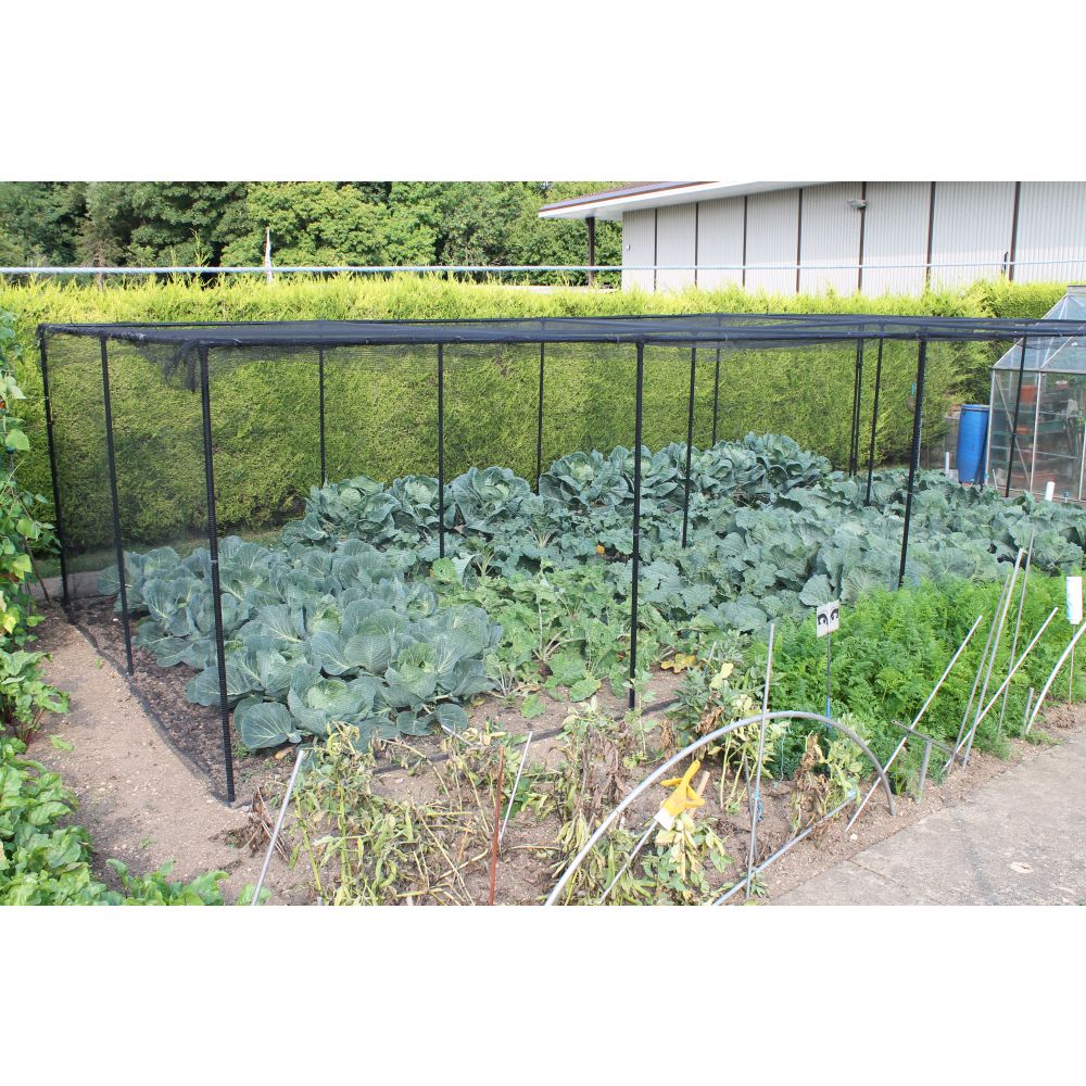 Premium Walk In Aluminium Fruit & Veg Cage with Butterfly Netting