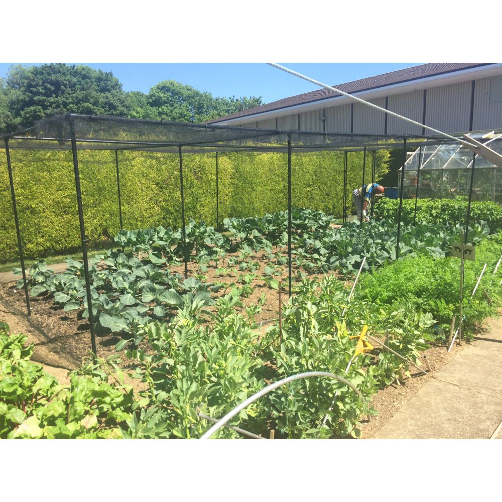 Premium Walk In Fruit & Veg Cages with No Netting