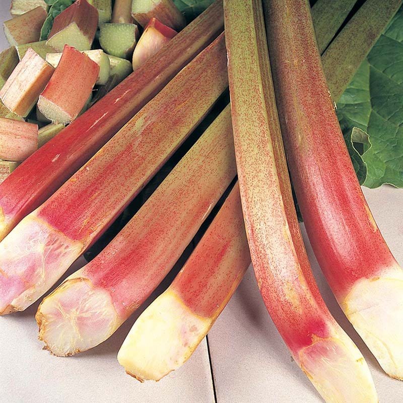 dt-brown FRUIT 2 Large A Grade Crowns Rhubarb Timperley Early Crowns