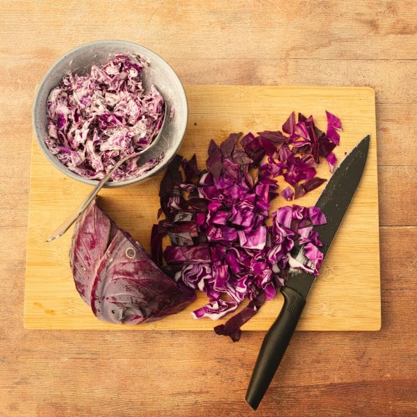 DT Brown VEGETABLE PLANTS Cabbage Redbowl Flower Plants