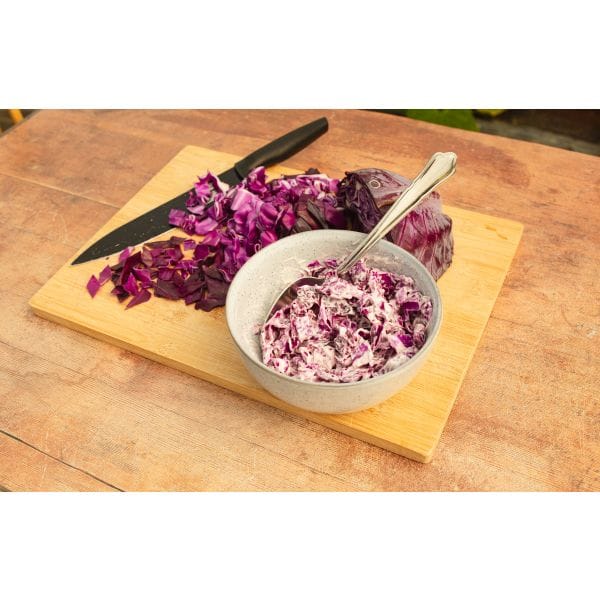 DT Brown VEGETABLE PLANTS Cabbage Redbowl Flower Plants