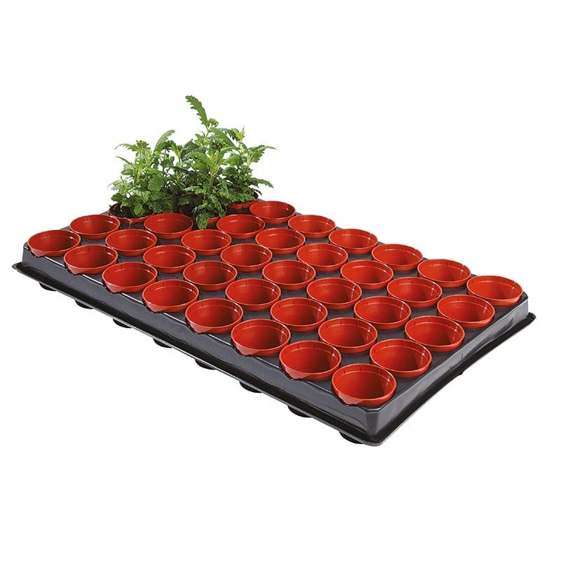 dt-brown HARDWARE Seed and Cutting Tray (40x6cm Pots) with Replacement pots