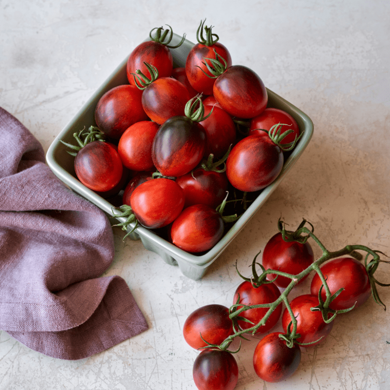 dt-brown Tomato Black Moon F1 (Standard) Veg Plants