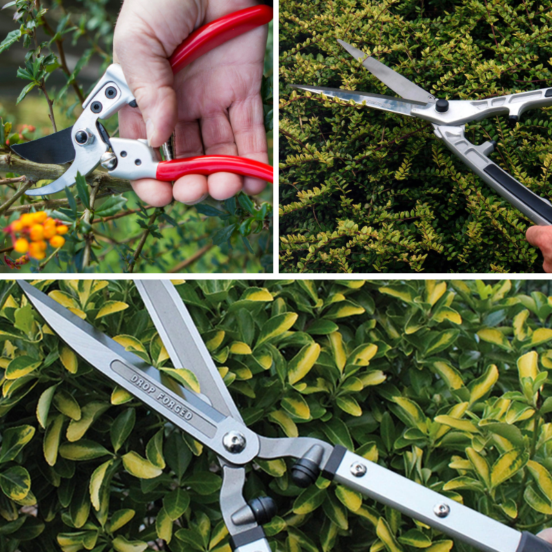The Perfect Hedge Collection