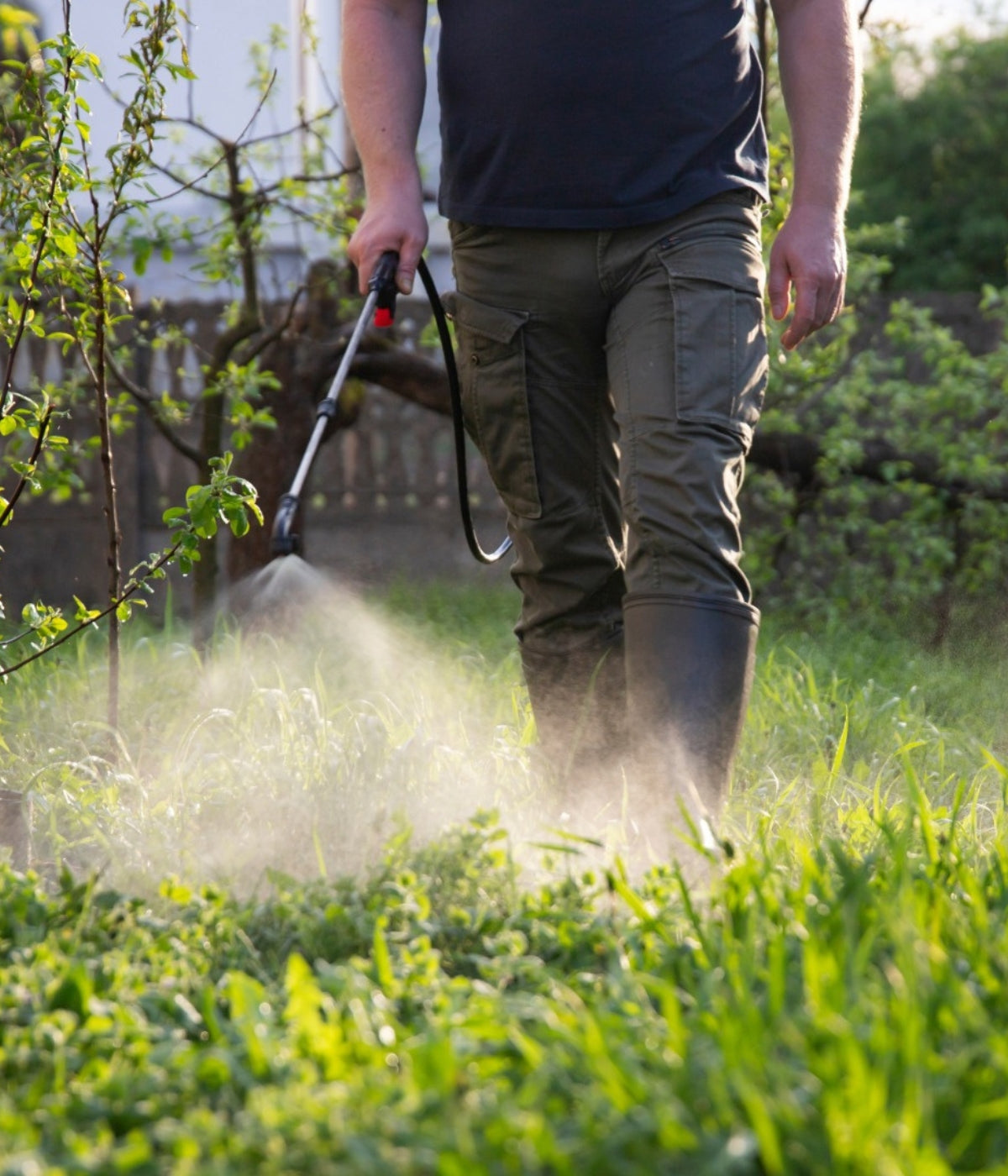 Pest Disease Control