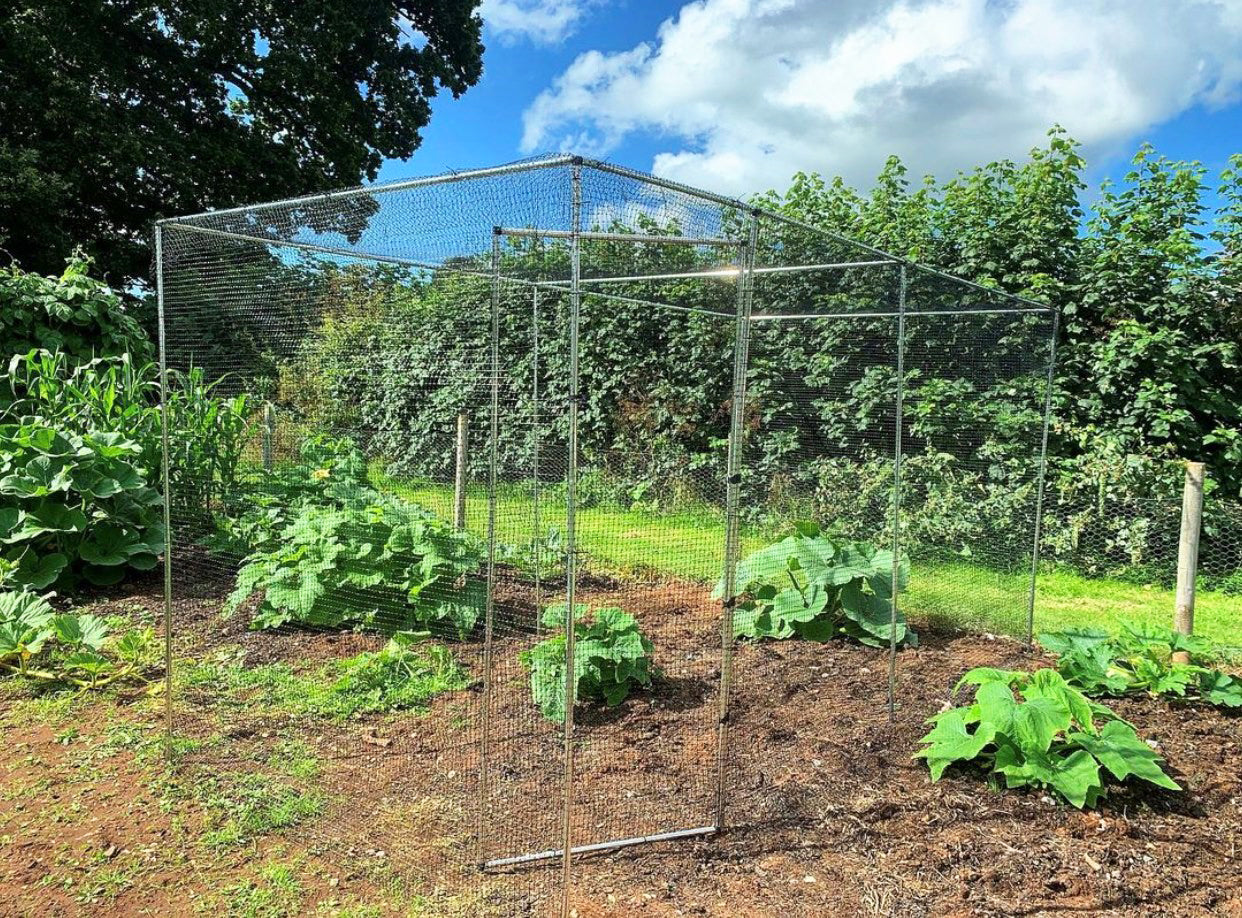 Walk In Aluminium Fruit & Veg Cages with no Netting