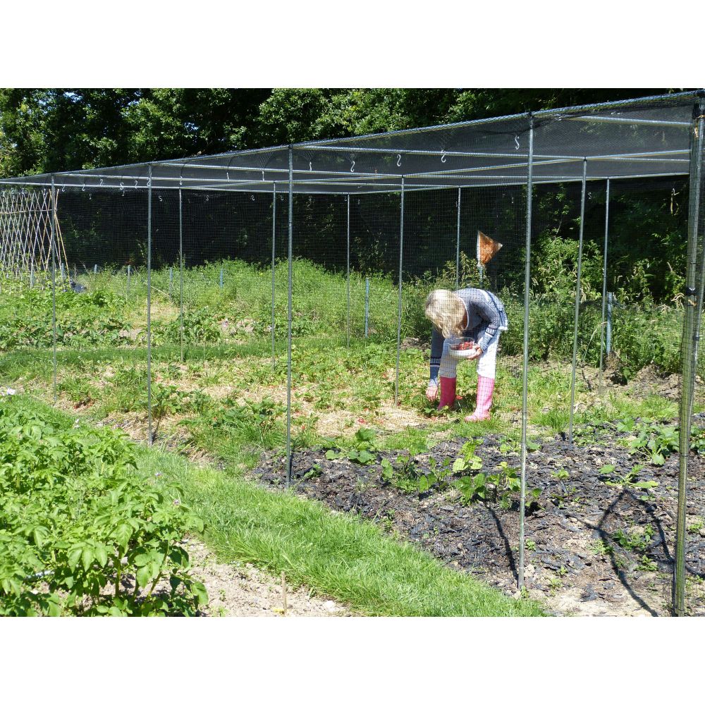 Walk In Aluminium Fruit & Veg Cage with Butterfly Netting