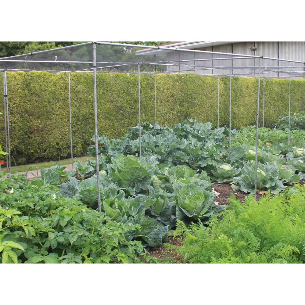 Walk In Aluminium Fruit & Veg Cages with no Netting